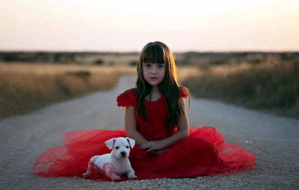 Picture road, dog, girl
