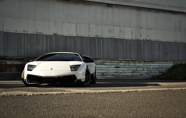 Picture white, asphalt, wall, shadow, white, lamborghini, front view, murcielago, Lamborghini, toned, Murcielago, lp670-4 sv