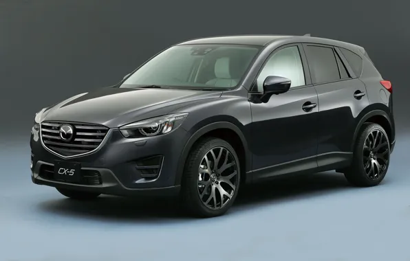 Picture Concept, Mazda, Mazda, 2015, CX-5
