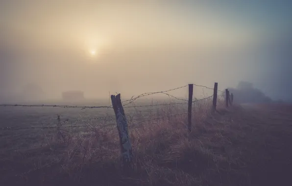 Picture misty, field, morning, fog, fence, sunrise, dawn, drops, wire, countryside, farm, foggy, mist, farmland