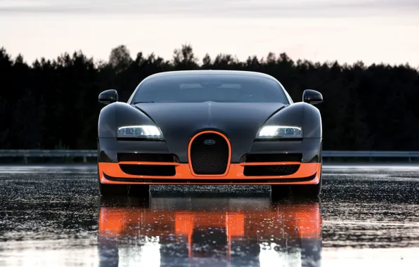 Picture road, view, wet, Bugatti, front