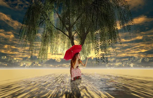 Picture tree, umbrella, art, girl, weeping willow