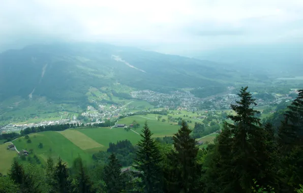Picture forest, clouds, trees, fog, Switzerland, valley, village, Switzerland, mount Rigi, Rigi