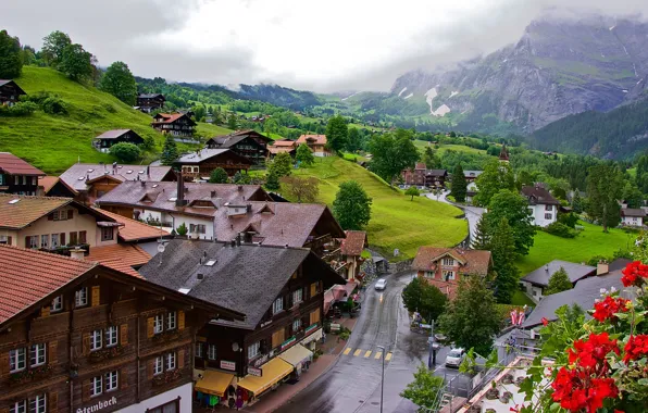 Picture forest, mountains, home, Switzerland, valley, town, Grindelwald