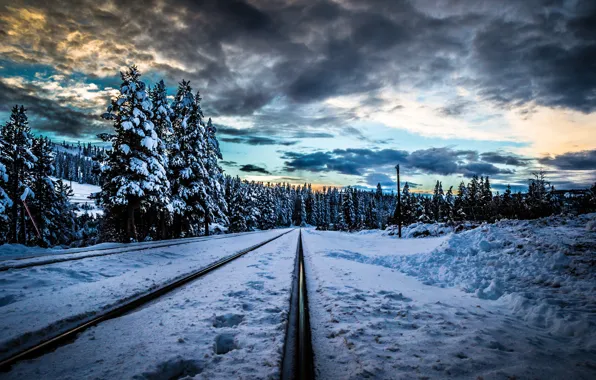 Picture winter, forest, snow, trees, sunset, clouds, rails, railroad