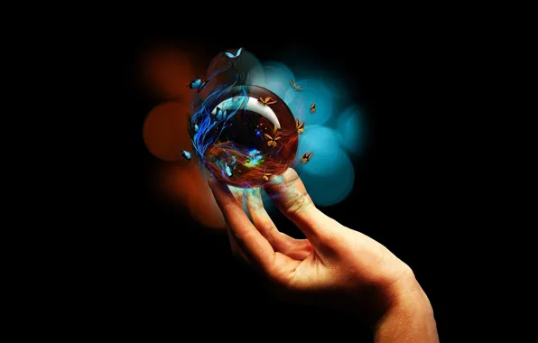 Picture BACKGROUND, BLACK, BUTTERFLY, BALL, GLASS, HAND
