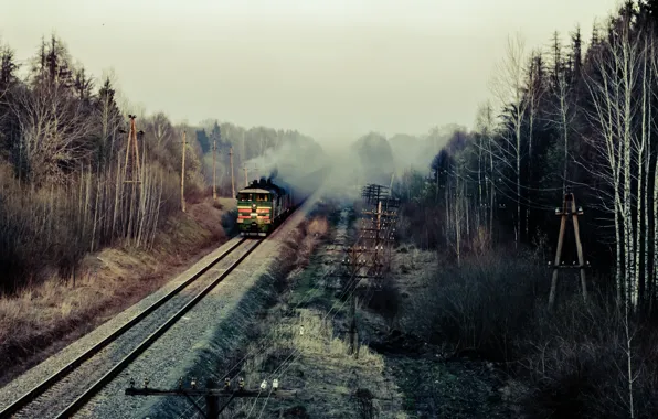Picture rails, train, cars, composition