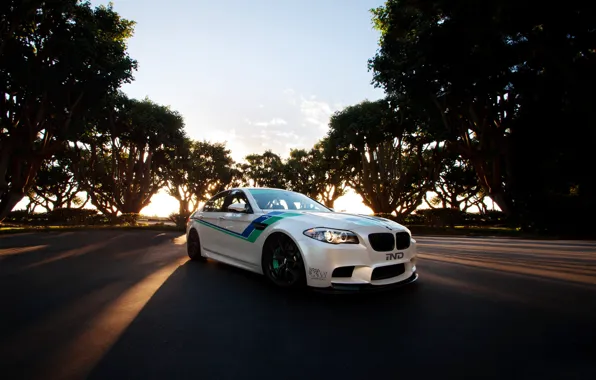 Picture white, the sky, clouds, trees, sunset, bmw, BMW, white, front view, f10