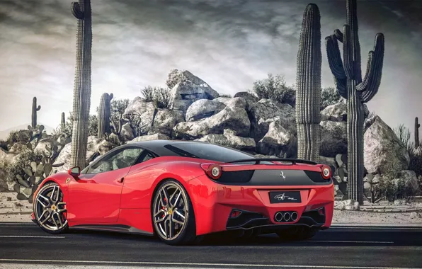 Picture Road, Red, Desert, Ferrari, Cacti, Ferrari, Red, Car, 458, Italia, Desert