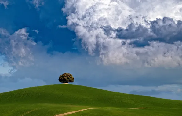 Picture clouds, tree, hill