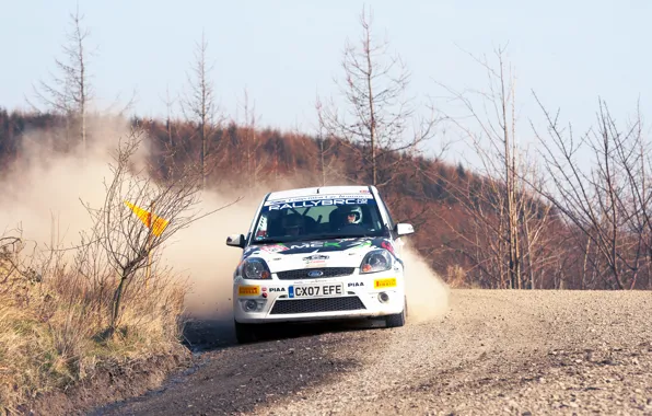 Picture Ford, Auto, White, Sport, Machine, Turn, Race, Skid, Focus, WRC, Rally, Rally, Focus, The front