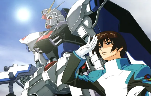 Picture the sky, weapons, gloves, form, guy, gundam seed, combat robot