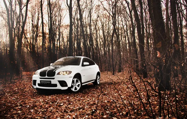 Picture forest, leaves, Autumn, White, BMW, BMW, SUV, white, tuning, E72