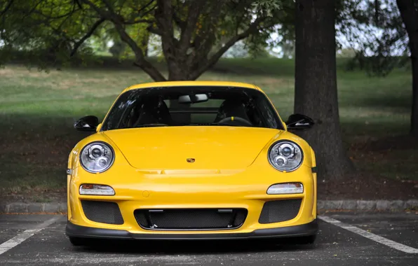 Picture yellow, Porsche, Porsche, Porsche GT3 RS 4