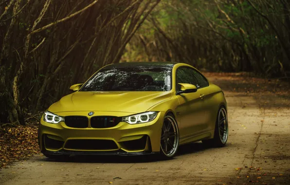 Picture BMW, BMW M4, Austin Yellow, BMW M4 Coupe Austin Yellow