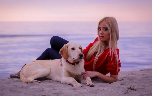 Picture beach, look, pose, Girl, dog, blonde
