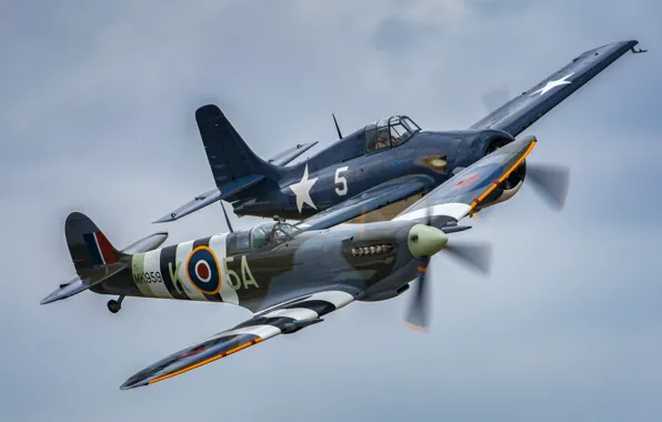 Picture flight, fighters, Spitfire, Wildcat