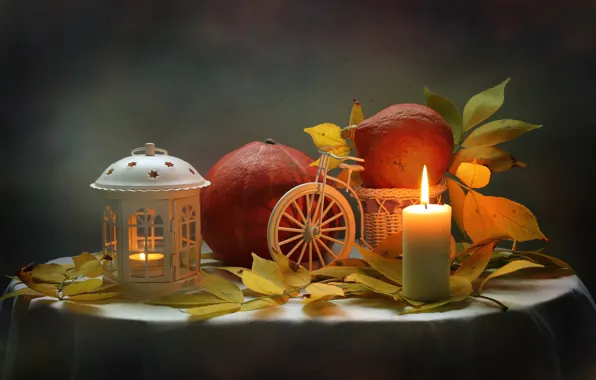 Picture leaves, candle, lantern, pumpkin, still life