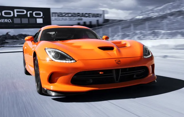 Picture machine, speed, Dodge, Viper, the front, SRT