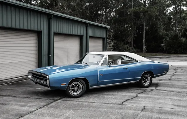 Picture Dodge, Dodge, Charger, 1970, the charger