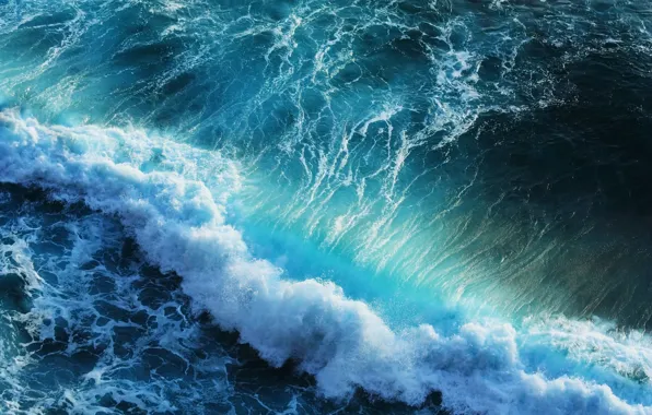Picture sea, foam, wave, surf