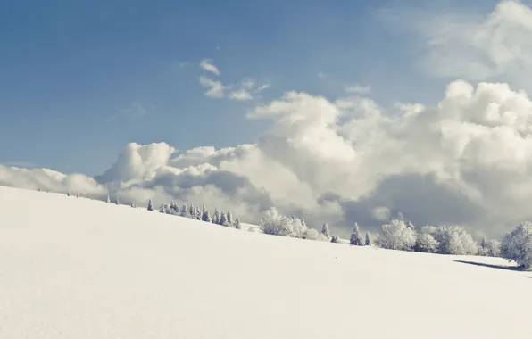 Picture winter, the sky, snow, landscape