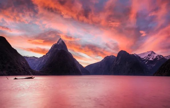 Picture New Zealand, South island, Piopiotahi, the fjord Milford Sound