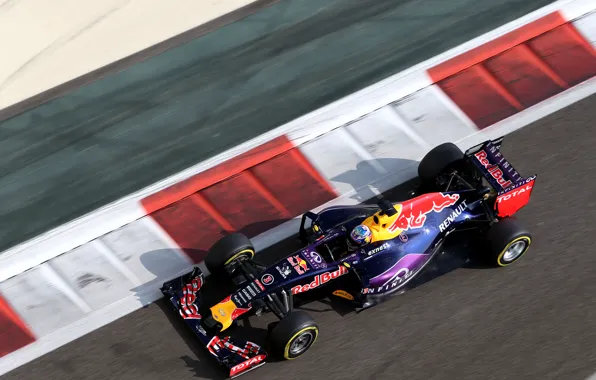 Picture Formula 1, Red Bull, The view from the top, Daniel Ricciardo