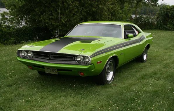 Picture 1971, Dodge, Challenger, Green