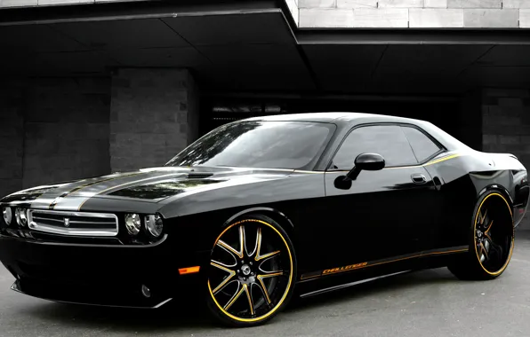Picture dodge, challenger, tuning, asanti