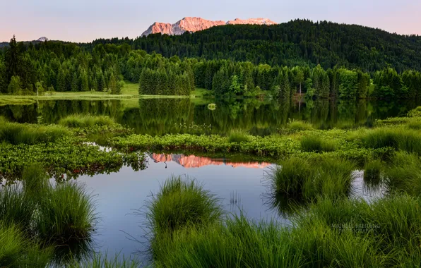Picture forest, summer, landscape, mountains, pond, Michael Breitung