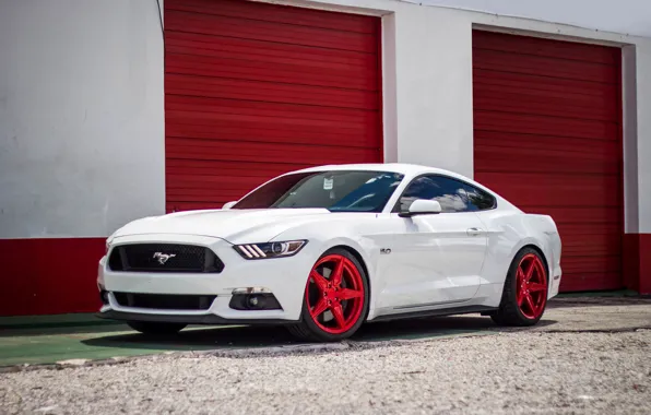 Picture Mustang, Ford, White, Incurve, LP-5