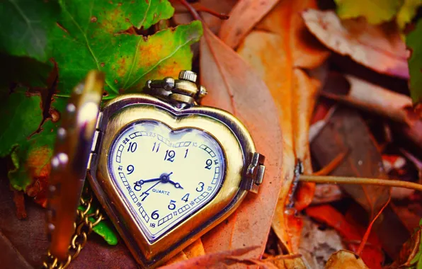 Picture autumn, leaves, arrows, heart, watch, love, dial, heart, autumn, leaves, hands, clock, dial