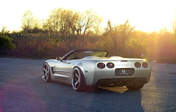 Picture Corvette, Chevrolet, Glow, Sun, Style, Tuning, Road, Convertible, Wheels, Widebody