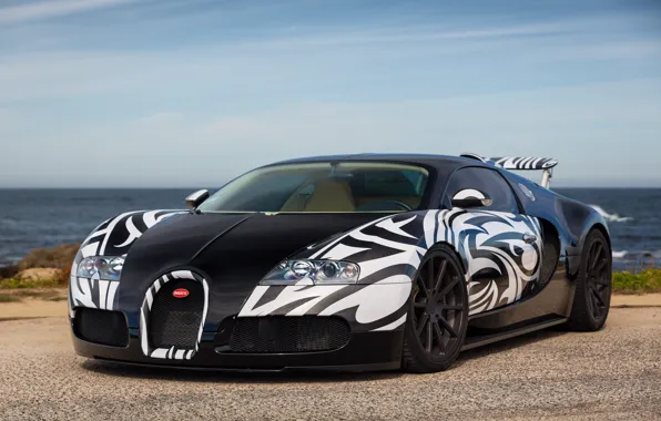 Picture Bugatti, Veyron, Black, White, Zebra