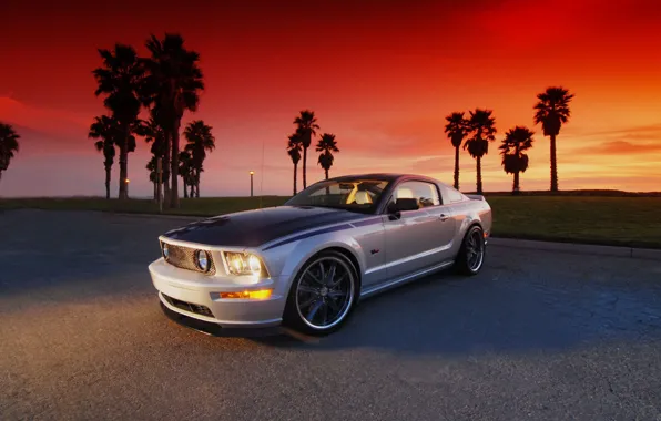 Picture road, auto, the sun, palm trees, tuning, silver, Ford, Mustang, sunset