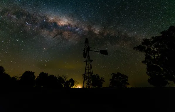 Picture space, stars, trees, shadows, the milky way