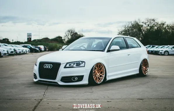 Picture audi, white, wheels, quattro, tuning, germany, low, stance, dapper