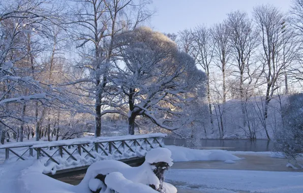 Picture winter, snow, nature, Park, frost, the bridge