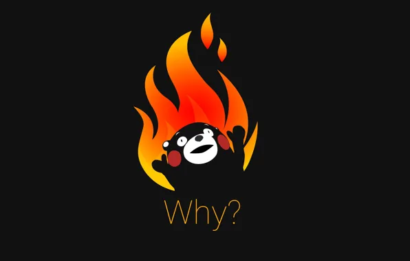 Picture fire, minimalism, of course, memes, in the name of Satan, why?