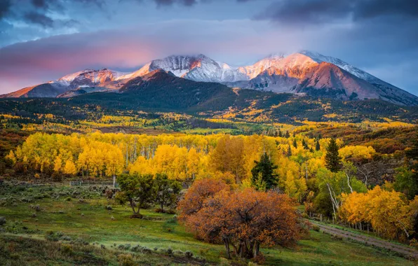 Picture autumn, light, trees, mountains, paint, morning, Colorado, USA, state, Mount Sopris