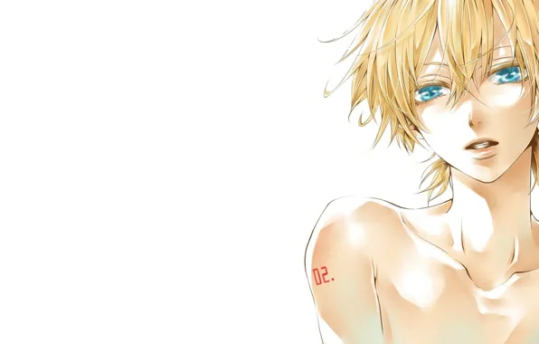Picture face, white background, blue eyes, shoulders, Vocaloid, blonde, Kagamine Len