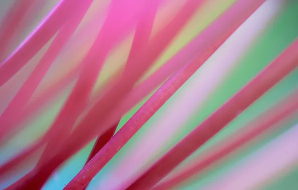 Picture background, stems, pink