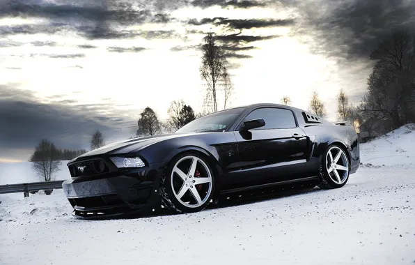 Picture winter, the sky, snow, trees, clouds, black, mustang, Mustang, wheels, ford, drives, black, Ford, side …