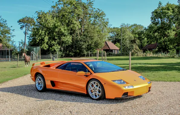 Picture Lamborghini, 2000, Lamborghini, Diablo, Diablo
