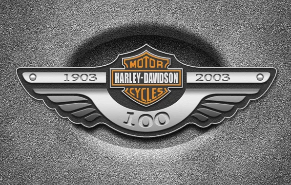 Picture metal, logo, Harley Davidson