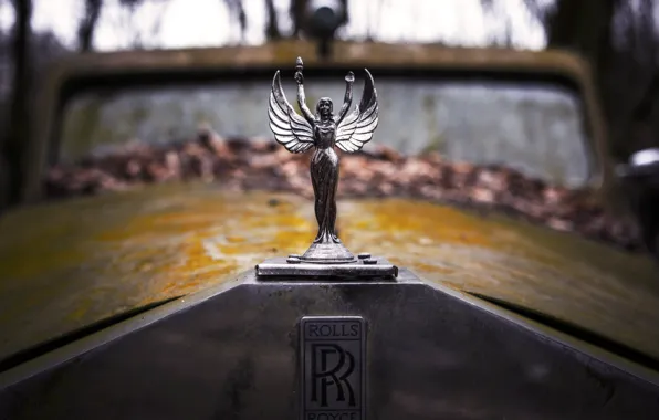 Picture retro, rusty, the hood, old, emblem, rolls royce, label