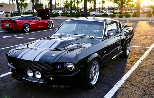 Picture Mustang, Ford, Shelby, GT500, Eleanor, Black, Super Snake