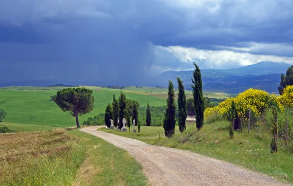 Picture clouds, flowers, rain, field, road, Italy, the countryside, Tuscany, farm