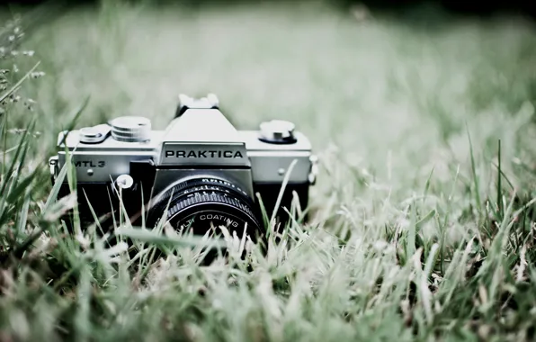 Picture greens, grass, macro, nature, photo, background, Wallpaper, the camera, lens, Praktica